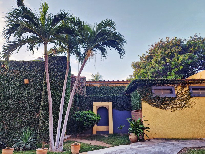 20250323_064425 (Kopiowanie).jpg