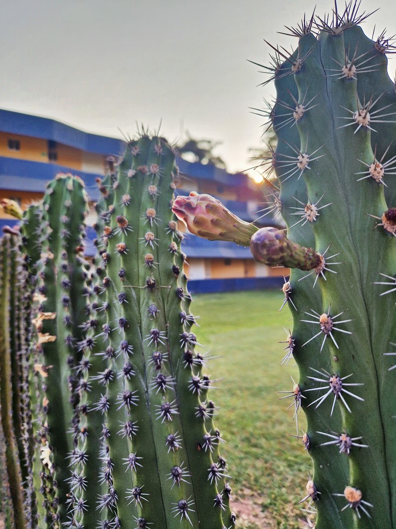 20250323_072100 (Kopiowanie).jpg