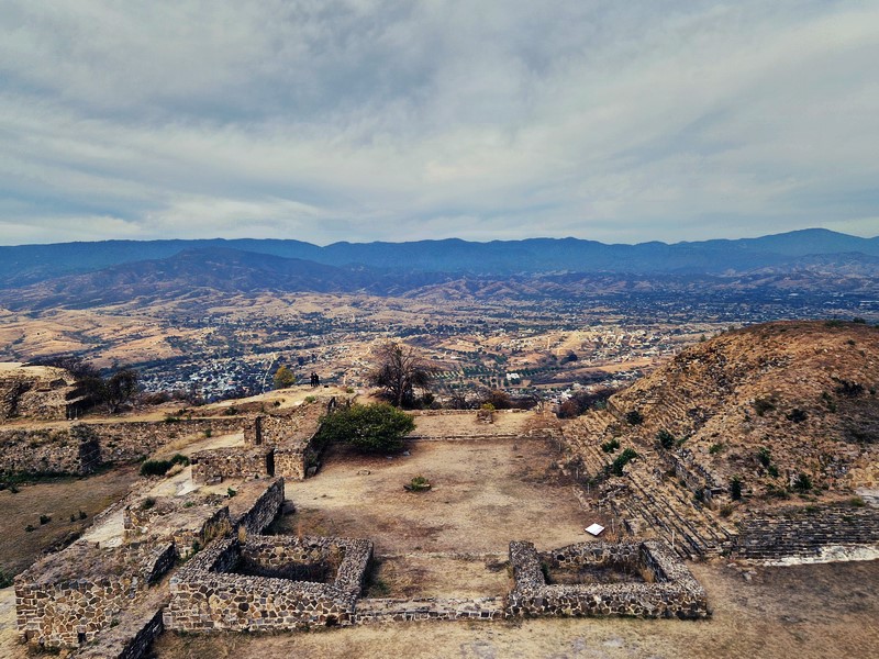 20250322_082954 (Kopiowanie).jpg