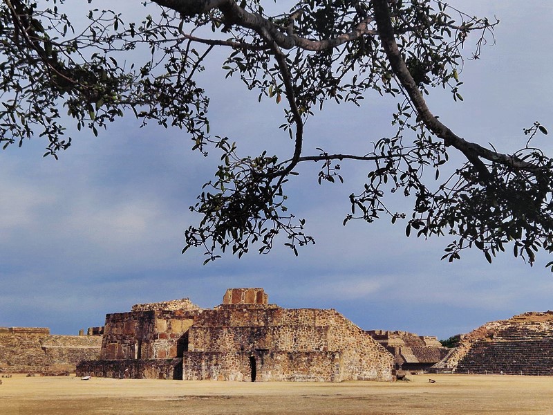 20250322_090111 (Kopiowanie).jpg