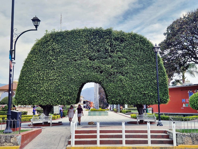 20250322_105036 (Kopiowanie).jpg