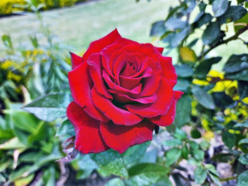 20250322_105801 (Kopiowanie).jpg