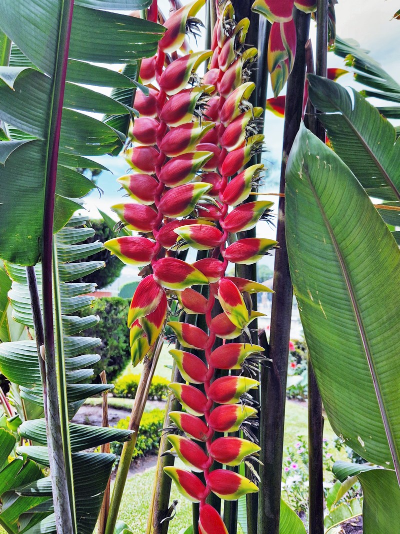 20250322_110030 (Kopiowanie).jpg