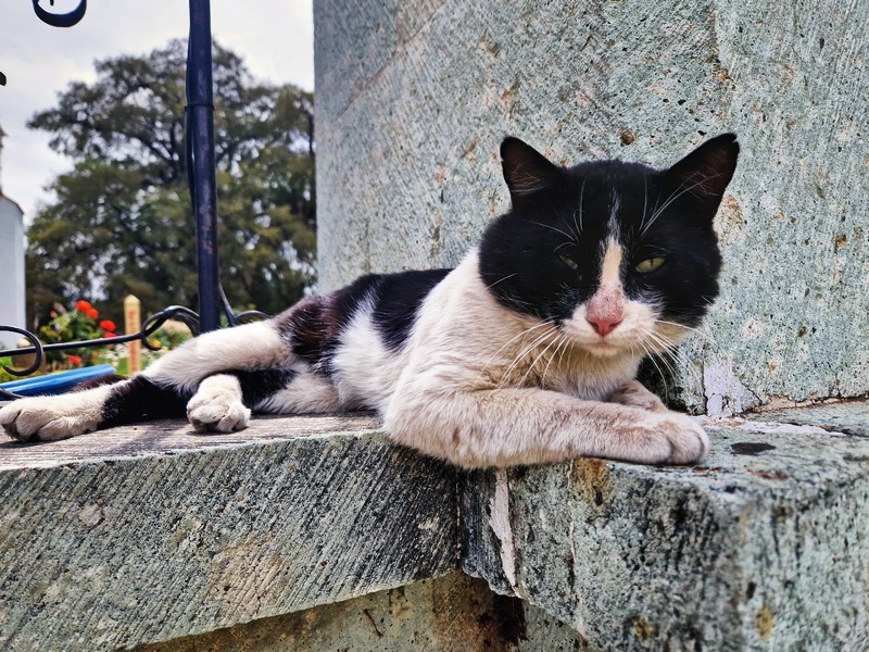 20250322_110731 (Kopiowanie).jpg