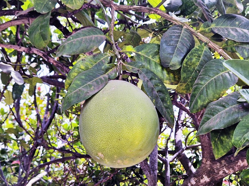 20250322_111236 (Kopiowanie).jpg