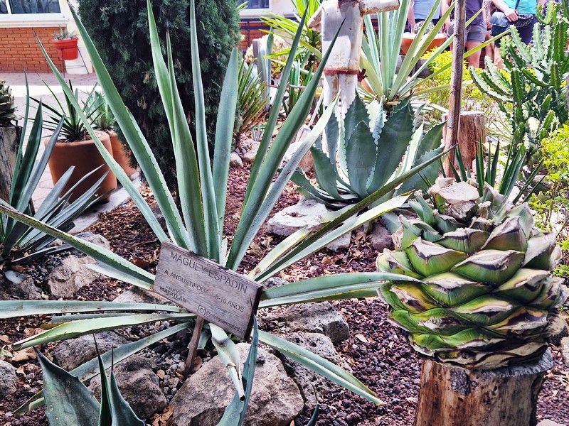 20250322_113448 (Kopiowanie).jpg