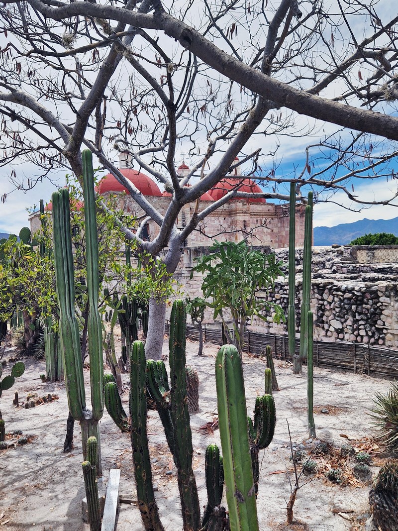 20250322_125925 (Kopiowanie).jpg