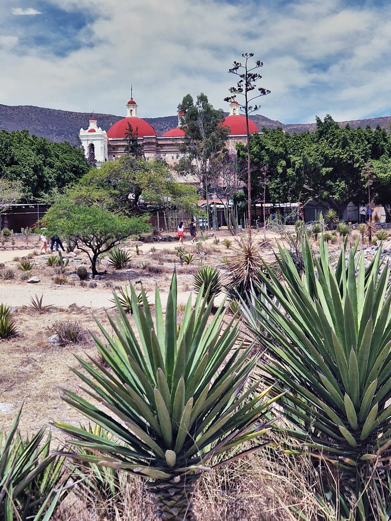 20250322_133055 (Kopiowanie).jpg