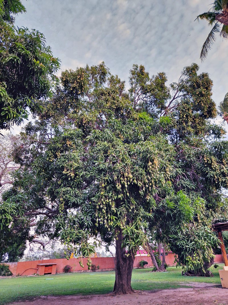 20250322_182426 (Kopiowanie).jpg