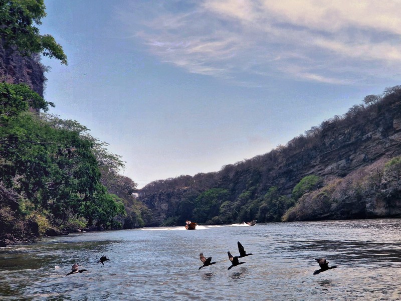 20250323_124506 (Kopiowanie).jpg