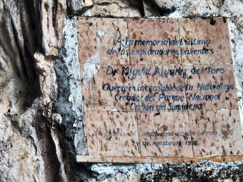 20250323_131912 (Kopiowanie).jpg