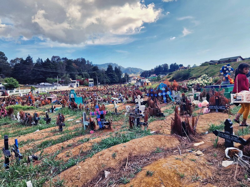 20250323_154208 (Kopiowanie).jpg