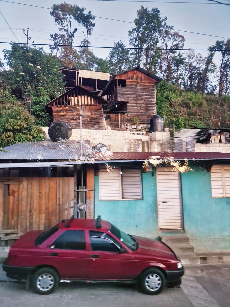 20250324_061921 (Kopiowanie).jpg