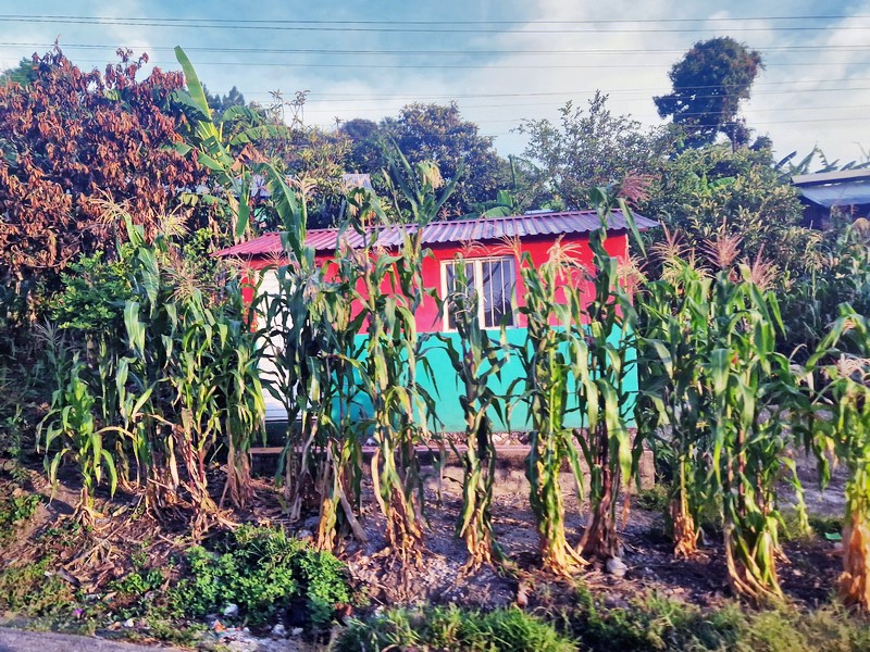 20250324_064048 (Kopiowanie).jpg