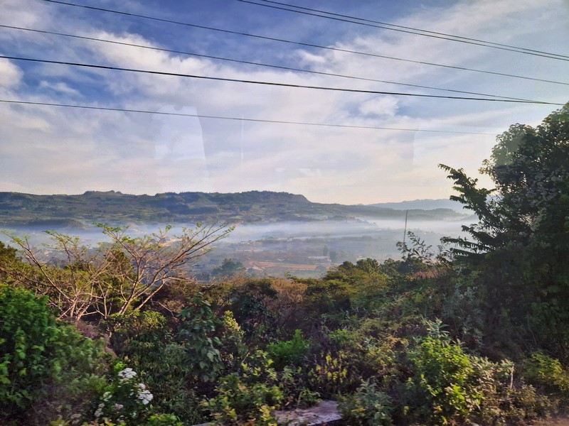 20250324_070033 (Kopiowanie).jpg