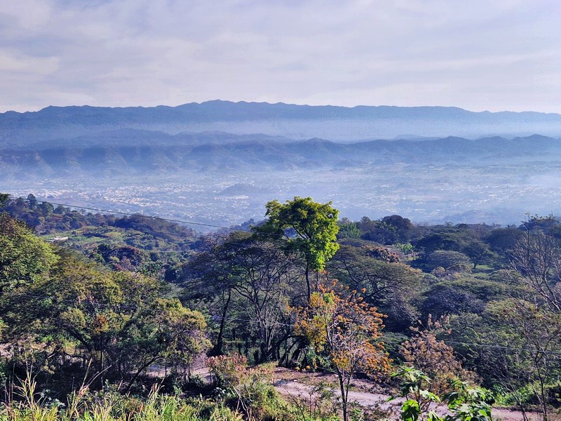 20250324_074932 (Kopiowanie).jpg