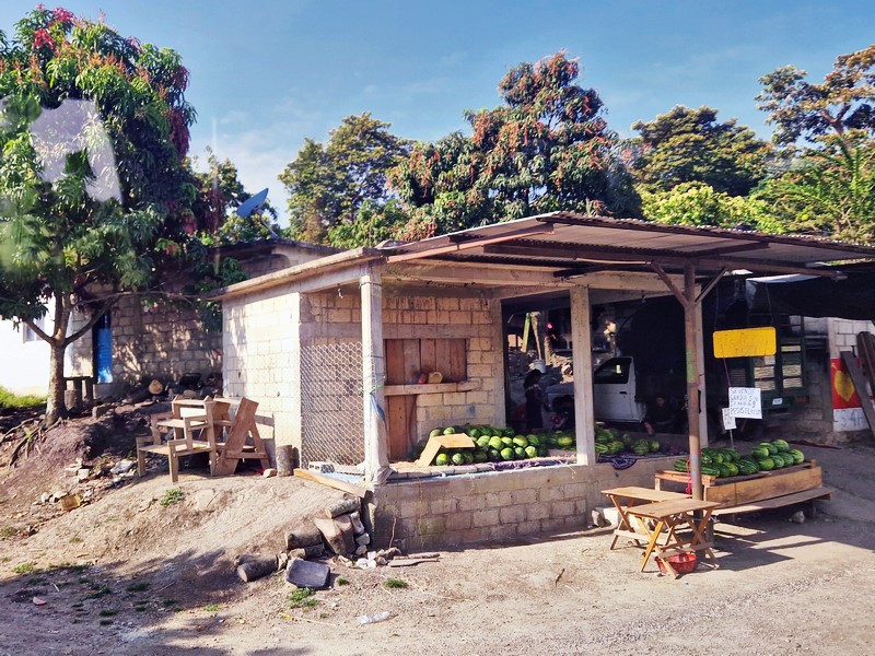 20250324_083803 (Kopiowanie).jpg