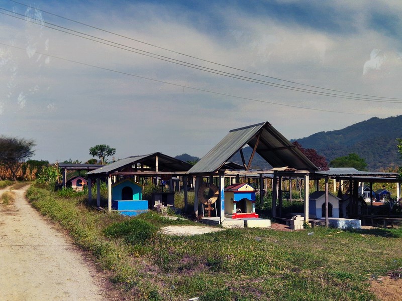 20250324_084028 (Kopiowanie).jpg