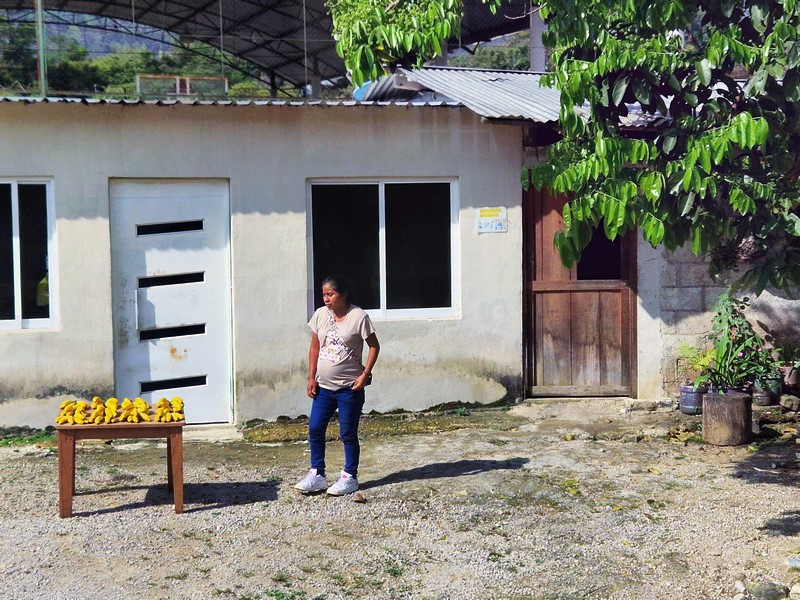 20250324_090600 (Kopiowanie).jpg