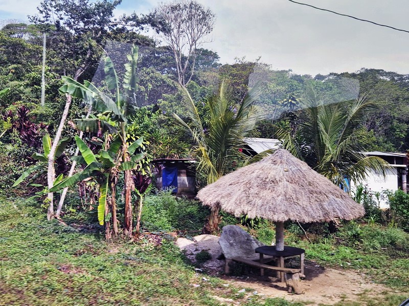 20250324_092944 (Kopiowanie).jpg