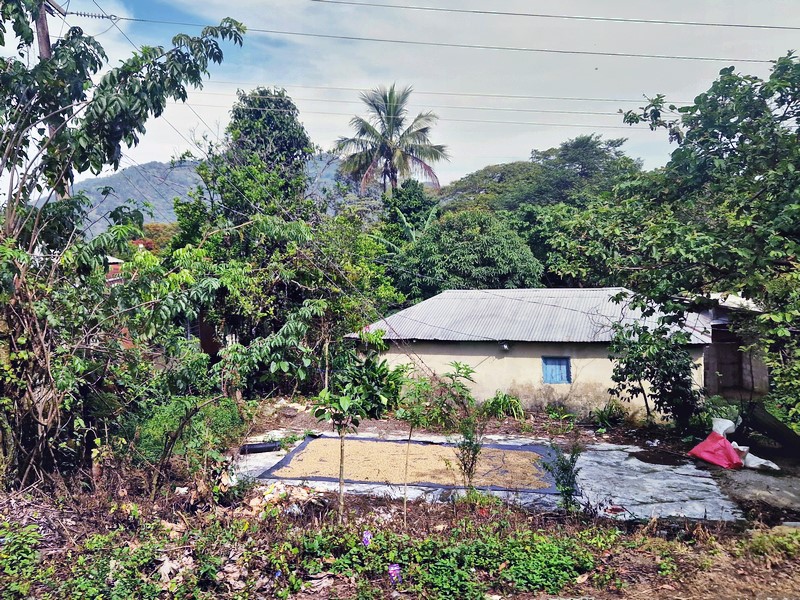 20250324_093228 (Kopiowanie).jpg