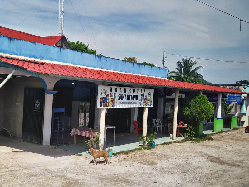 20250324_100122 (Kopiowanie).jpg