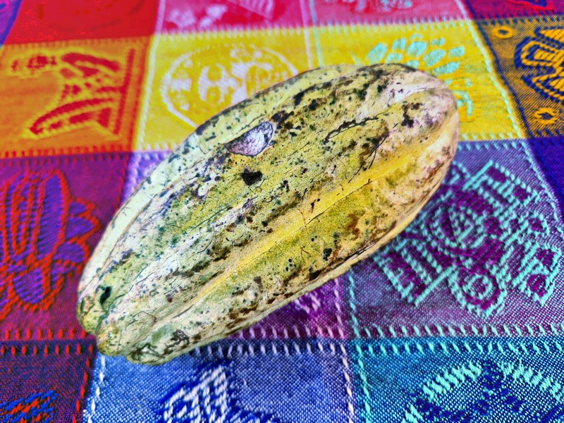 20250324_103352 (Kopiowanie).jpg