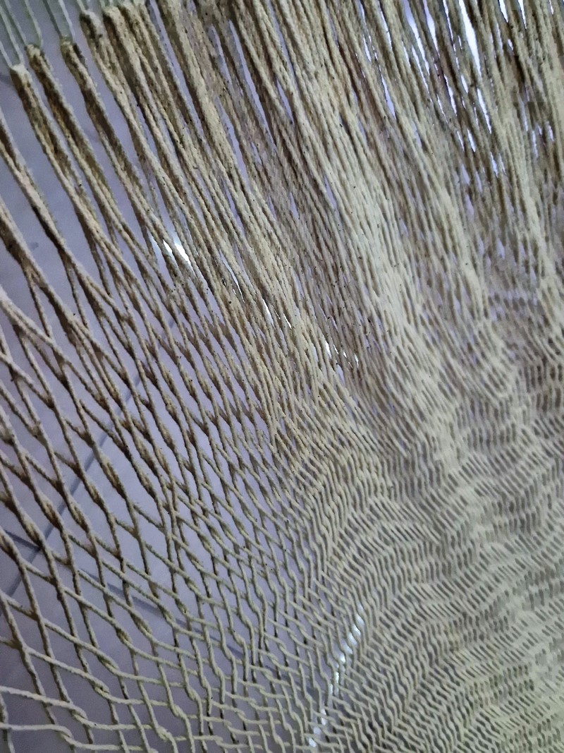 20250326_175525(0) (Kopiowanie).jpg