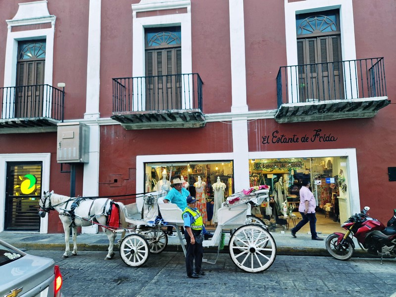 20250326_180422 (Kopiowanie).jpg