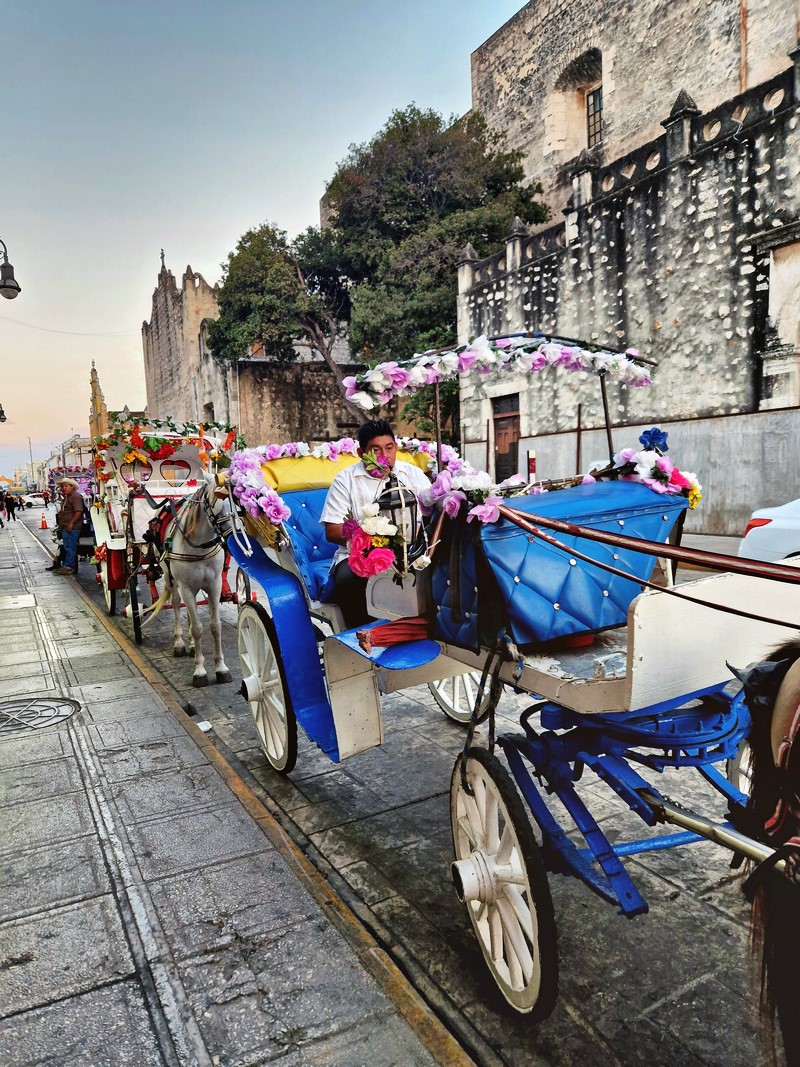 20250326_180923 (Kopiowanie).jpg