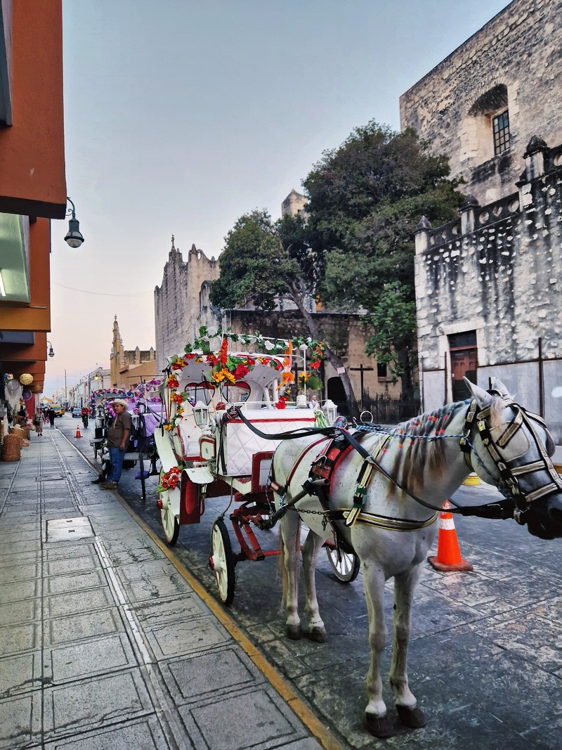 20250326_180928 (Kopiowanie).jpg