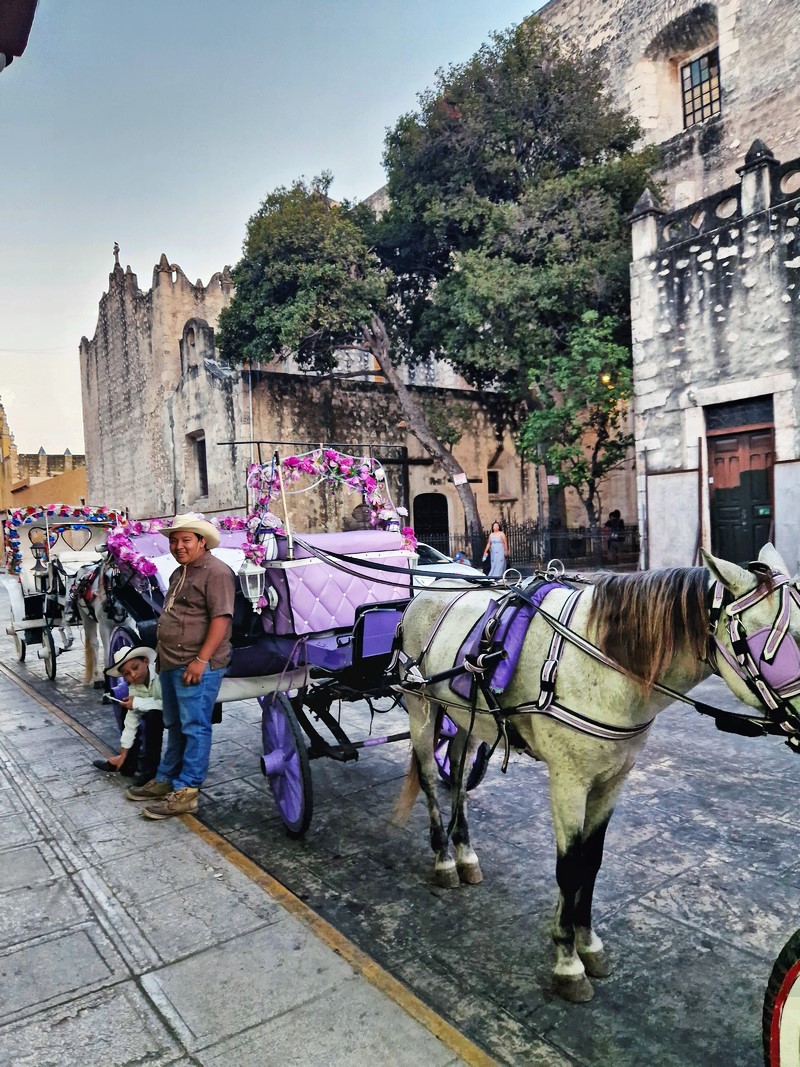 20250326_180936 (Kopiowanie).jpg