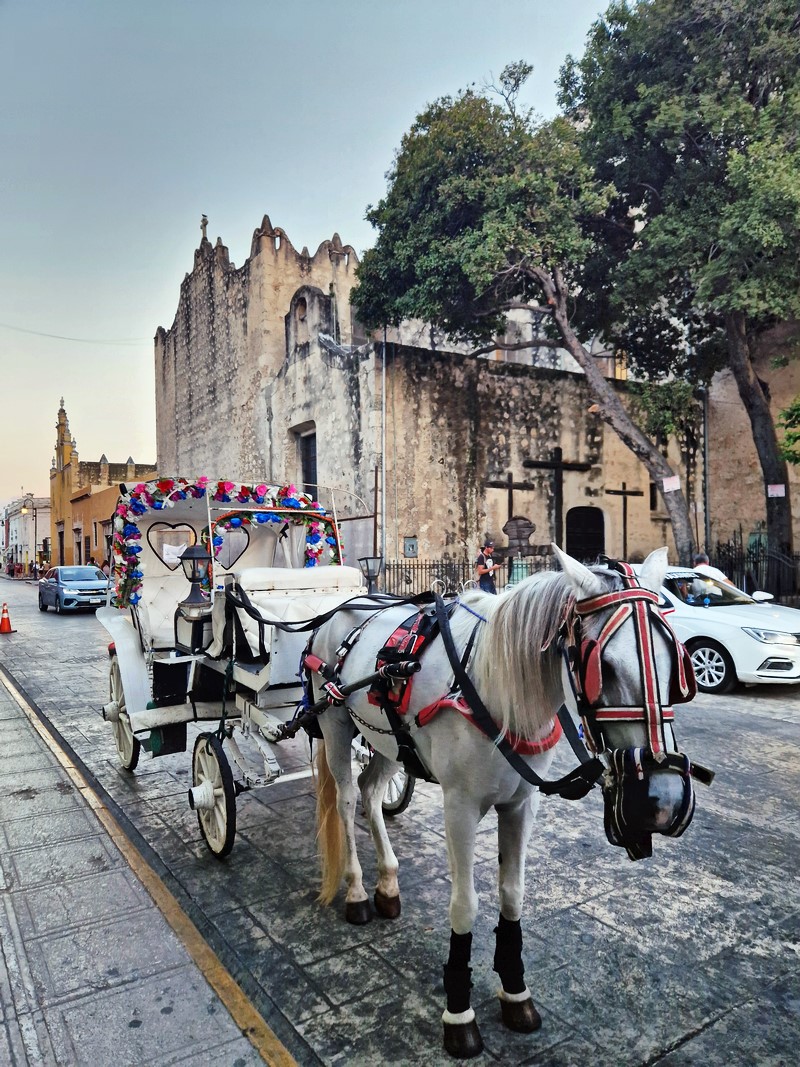 20250326_180943 (Kopiowanie).jpg