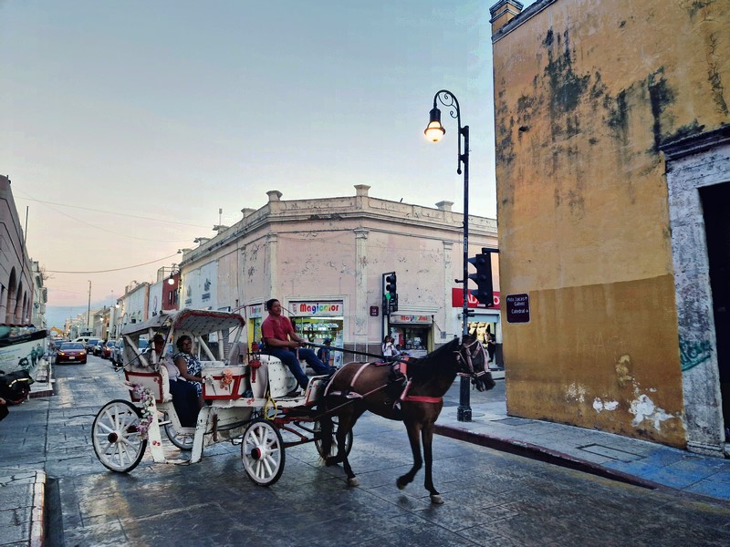 20250326_181201 (Kopiowanie).jpg