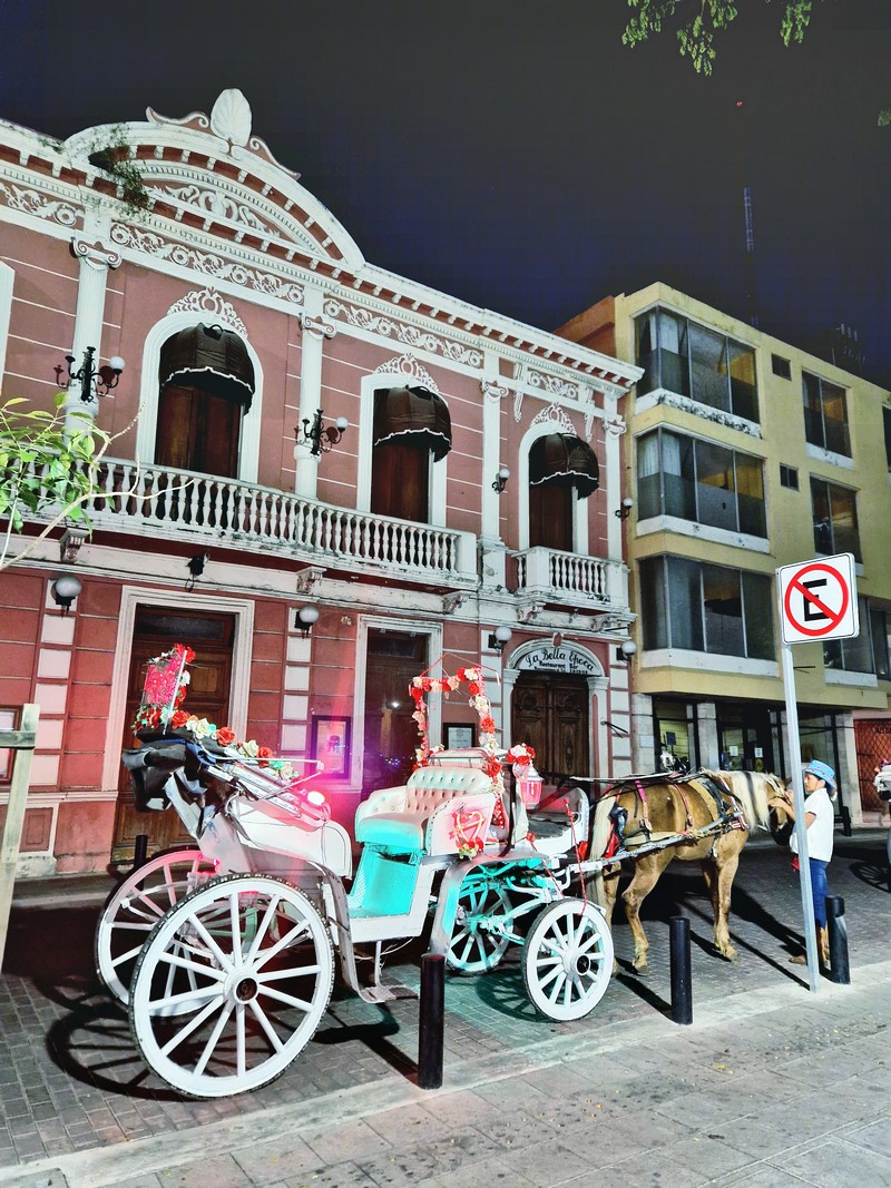 20250326_184705 (Kopiowanie).jpg