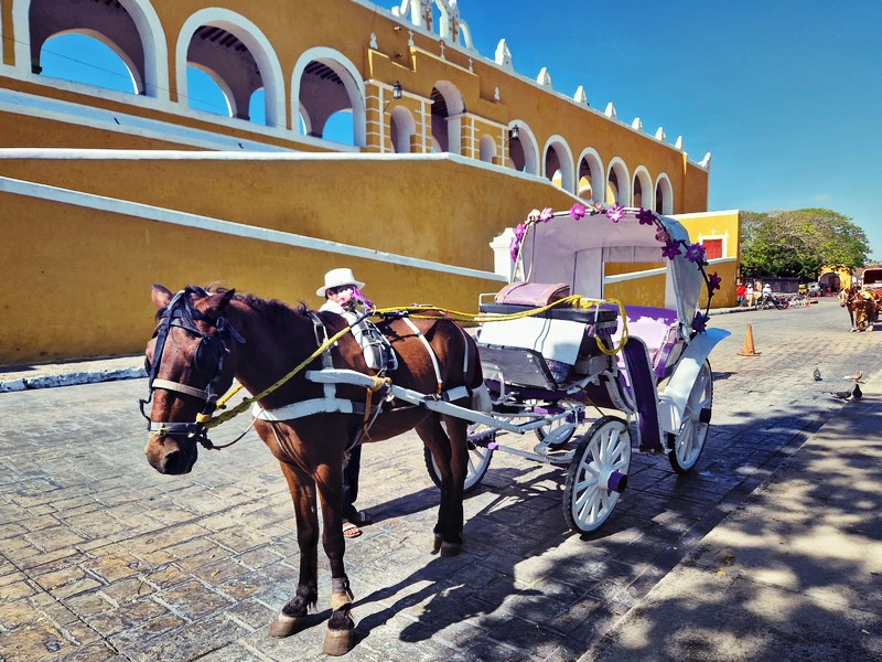 20250327_090713 (Kopiowanie).jpg