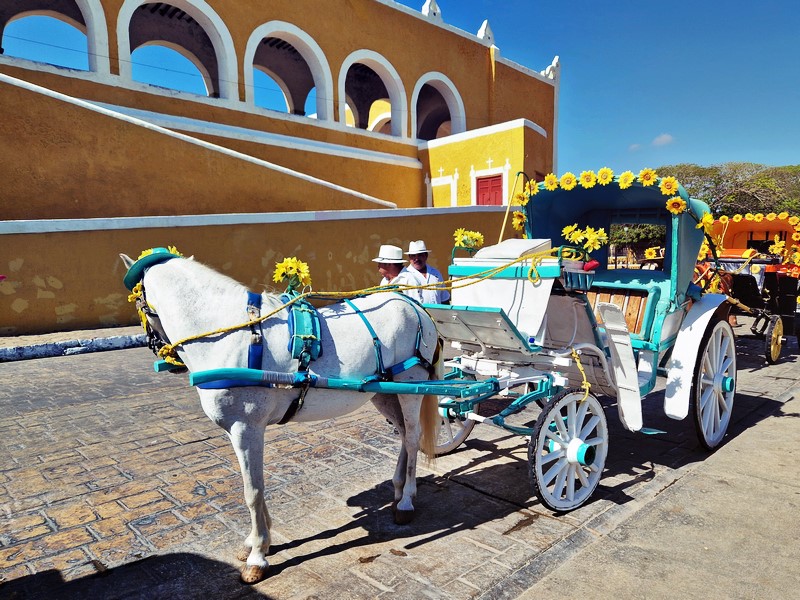 20250327_090739 (Kopiowanie).jpg