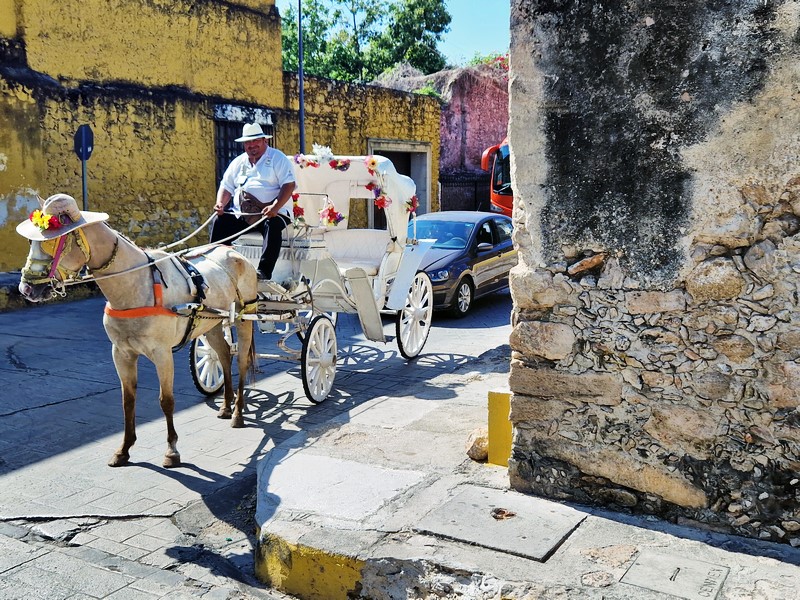 20250327_091243 (Kopiowanie).jpg