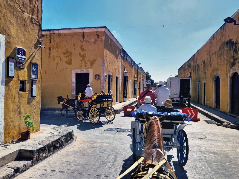 20250327_091404 (Kopiowanie).jpg