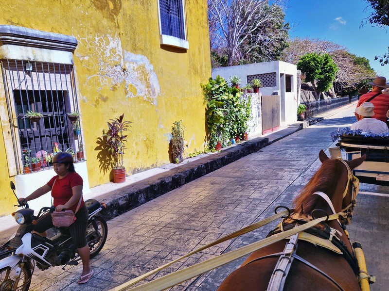 20250327_091419 (Kopiowanie).jpg