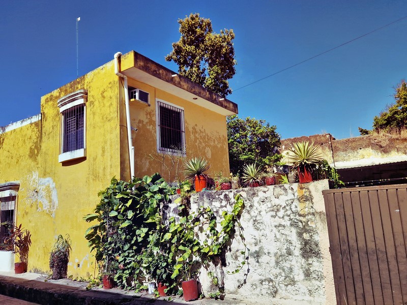 20250327_091432 (Kopiowanie).jpg