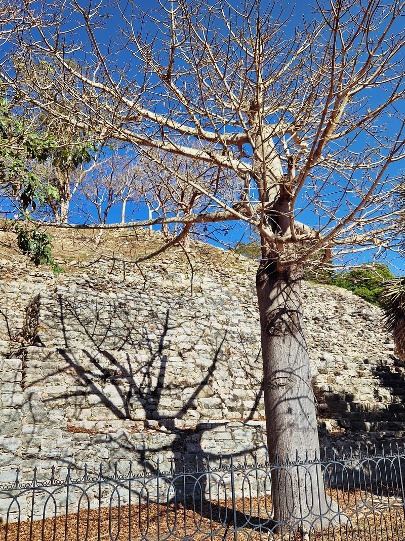 20250327_091512 (Kopiowanie).jpg