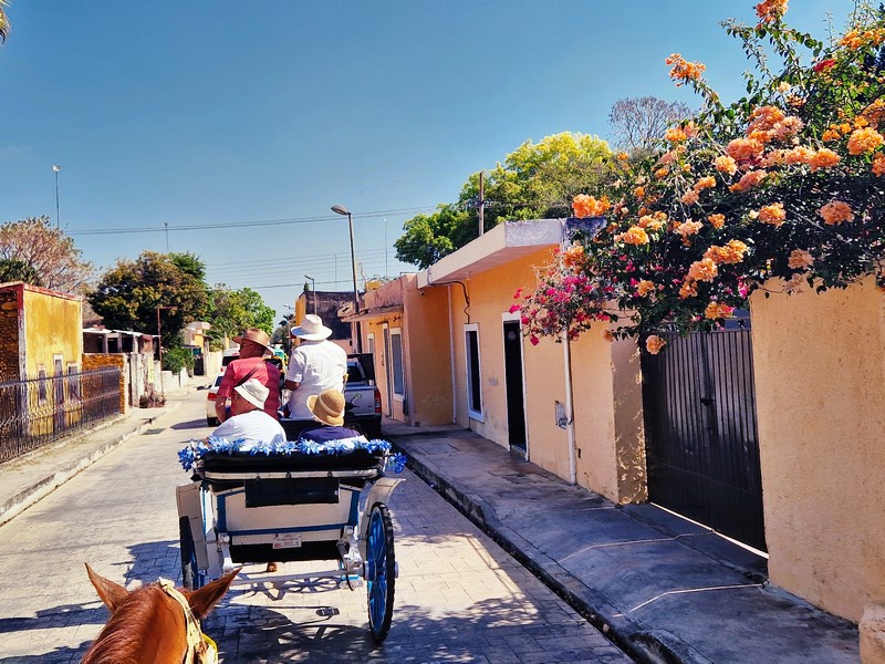 20250327_091543 (Kopiowanie).jpg