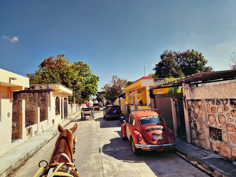 20250327_091636 (Kopiowanie).jpg