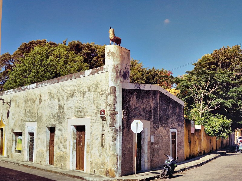 20250327_091754 (Kopiowanie).jpg