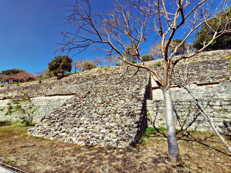 20250327_091936 (Kopiowanie).jpg