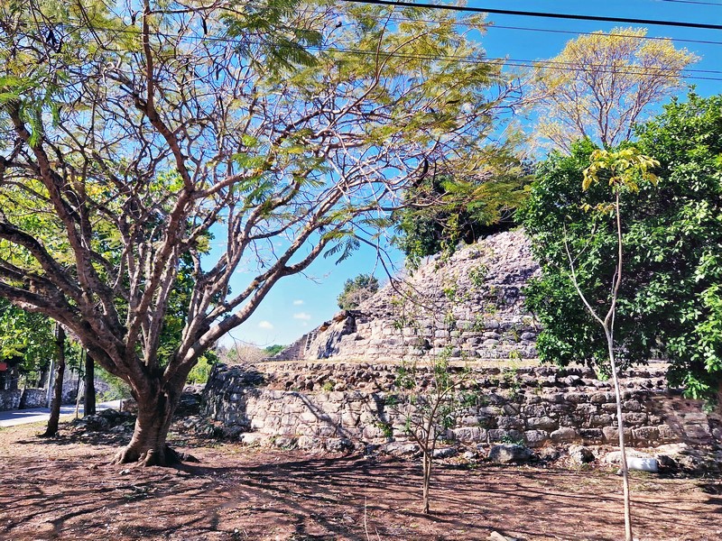 20250327_092025 (Kopiowanie).jpg