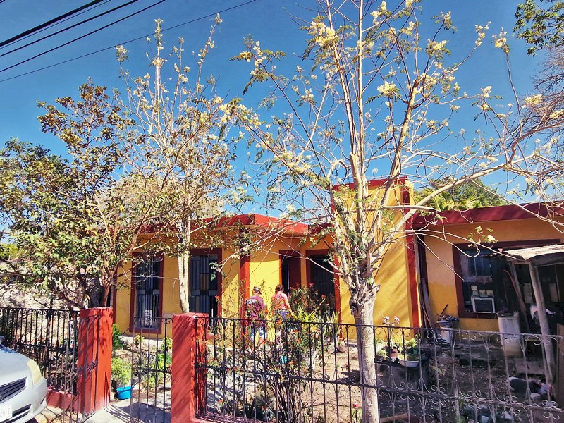 20250327_092410 (Kopiowanie).jpg