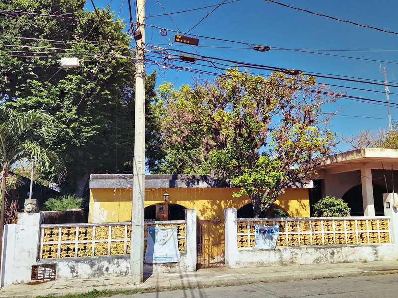 20250327_092450 (Kopiowanie).jpg