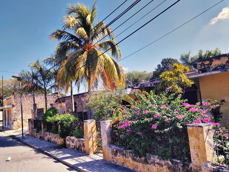 20250327_092538 (Kopiowanie).jpg